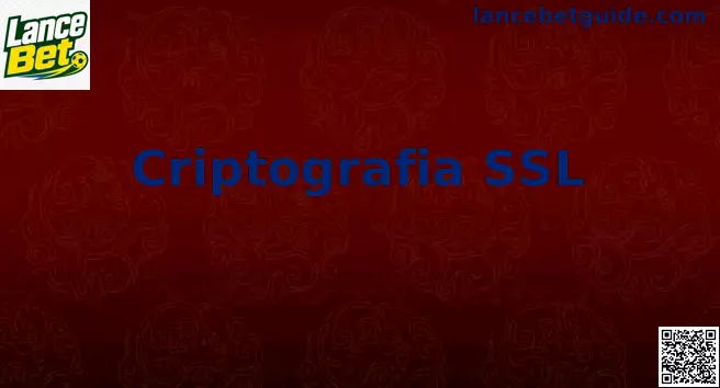Infográfico representativo de Criptografia SSL e Proteção de Dados de Navegação Secundária