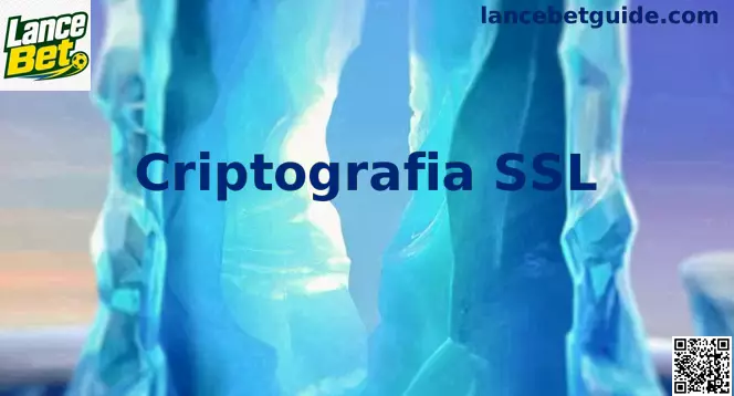 Infográfico explicativo sobre Criptografia SSL e conexões seguras HTTPS